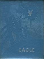 1961 Ridgway High School Yearbook from Ridgway, Illinois cover image