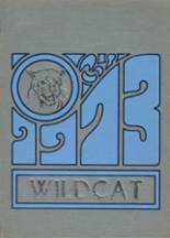 1973 Godley High School Yearbook from Godley, Texas cover image