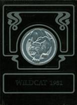 1981 West Lyon High School Yearbook from Inwood, Iowa cover image
