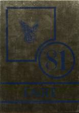 1981 Olustee High School Yearbook from Olustee, Oklahoma cover image