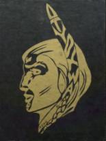 Nashoba Regional High School 1981 yearbook cover photo