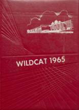 Edmonson County High School 1965 yearbook cover photo