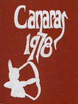 Saranac Lake Central High School 1978 yearbook cover photo