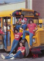 Eisenhower High School  1981 yearbook cover photo