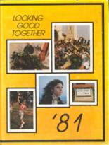 Huntington Beach High School 1981 yearbook cover photo