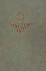 1920 Central High School Yearbook from Evansville, Indiana cover image