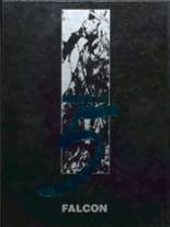 1995 Fillmore Central High School Yearbook from Harmony, Minnesota cover image