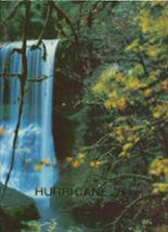 Flomaton High School 1984 yearbook cover photo