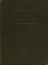 1928 South Norfolk High School Yearbook from Chesapeake, Virginia cover image