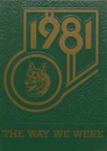 1981 Shelby High School Yearbook from Shelby, Nebraska cover image