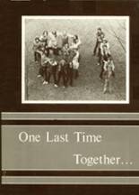 1981 Chelsea High School Yearbook from Chelsea, Vermont cover image