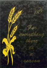 1988 Clear Lake High School Yearbook from Clear lake, South Dakota cover image