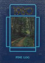 1980 Stissing Mountain High School Yearbook from Pine plains, New York cover image