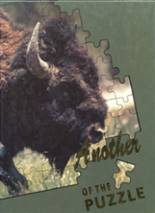Buffalo High School 1996 yearbook cover photo