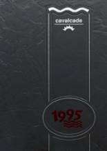 1995 Tri-County High School Yearbook from Wolcott, Indiana cover image