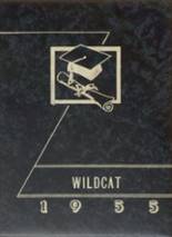 Goodhue High School 1955 yearbook cover photo
