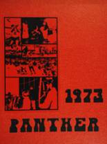 Central High School 1973 yearbook cover photo