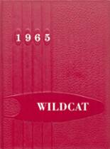 Willow River High School 1965 yearbook cover photo