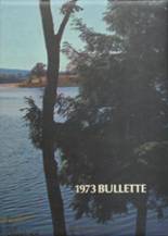 Bulls Gap High School 1973 yearbook cover photo