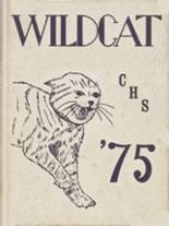 Coalgate High School 1975 yearbook cover photo