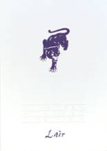 1996 Panhandle High School Yearbook from Panhandle, Texas cover image