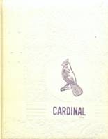 Syracuse-Dunbar-Avoca High School 1966 yearbook cover photo