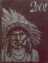 Stillwater High School 2001 yearbook cover photo