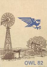 Reagan County High School 1982 yearbook cover photo