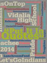 Vidalia High School 2014 yearbook cover photo