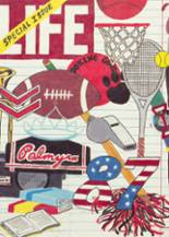 1987 Palmyra High School Yearbook from Palmyra, Missouri cover image