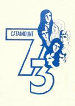 1973 Jay High School Yearbook from Jay, Florida cover image