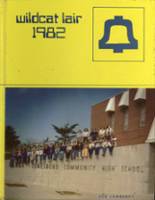 Anna-Jonesboro High School 1982 yearbook cover photo
