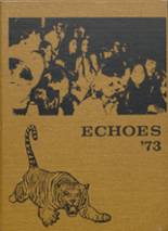 Ripley High School 1973 yearbook cover photo