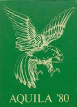 Hokes Bluff High School 1980 yearbook cover photo