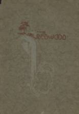 1915 Redwood Falls High School Yearbook from Redwood falls, Minnesota cover image