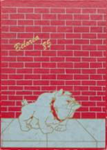 1985 Belfast Central High School Yearbook from Belfast, New York cover image