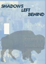 2007 Central City High School Yearbook from Central city, Nebraska cover image