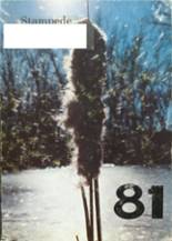 Stanley County High School 1981 yearbook cover photo