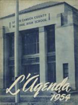 Lower Camden County High School 1954 yearbook cover photo