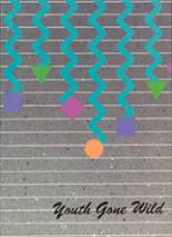 1990 Suffield High School Yearbook from Suffield, Connecticut cover image