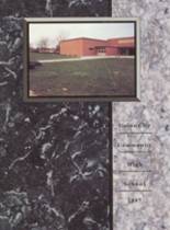 Union City Community High School 1997 yearbook cover photo