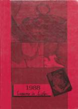 La Veta High School 1988 yearbook cover photo