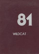 Henry County High School 1981 yearbook cover photo