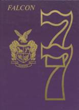 1977 Danube High School Yearbook from Danube, Minnesota cover image