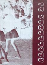 1971 Sidney High School Yearbook from Sidney, New York cover image