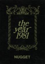 1981 Mckinley High School Yearbook from St. louis, Missouri cover image