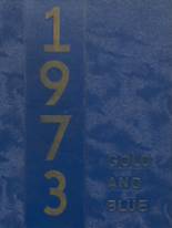 Mitchell High School 1973 yearbook cover photo