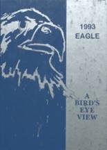 1993 Sanford-Fritch High School Yearbook from Fritch, Texas cover image