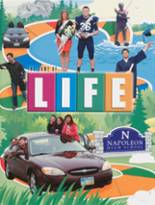 Napoleon High School 2014 yearbook cover photo