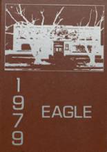 Healy High School 1979 yearbook cover photo